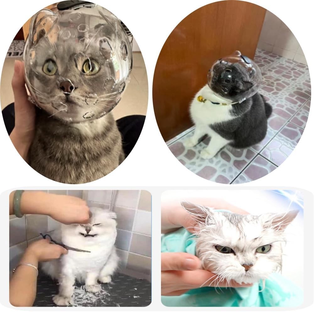 Astronaut Cat Muzzle Adjustable Helmet - Breathable Transparent Kitten Preven...