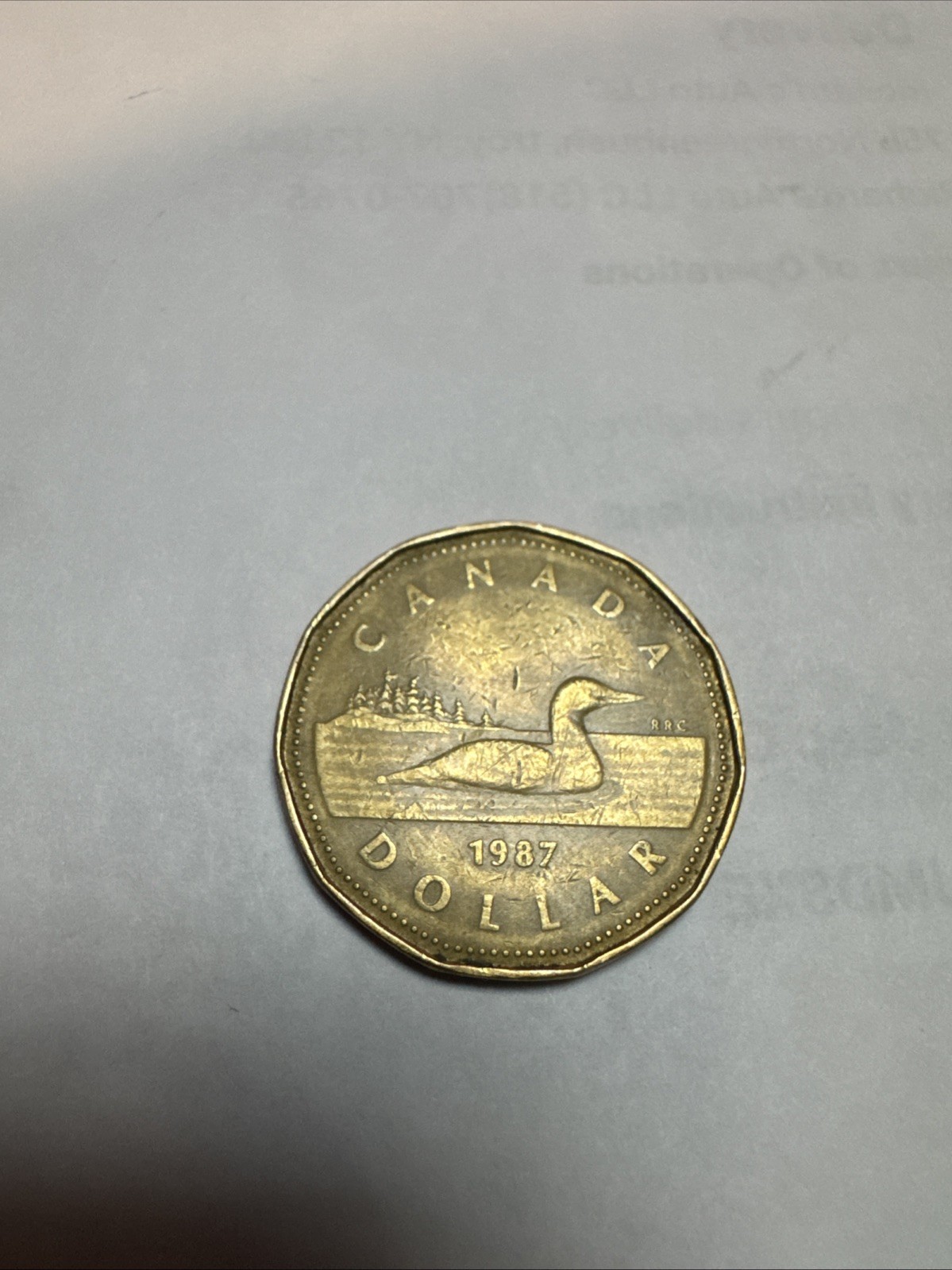 Rare 1987 Canadian Dollar Coin Condition Great Collectible Elizabeth II D.G