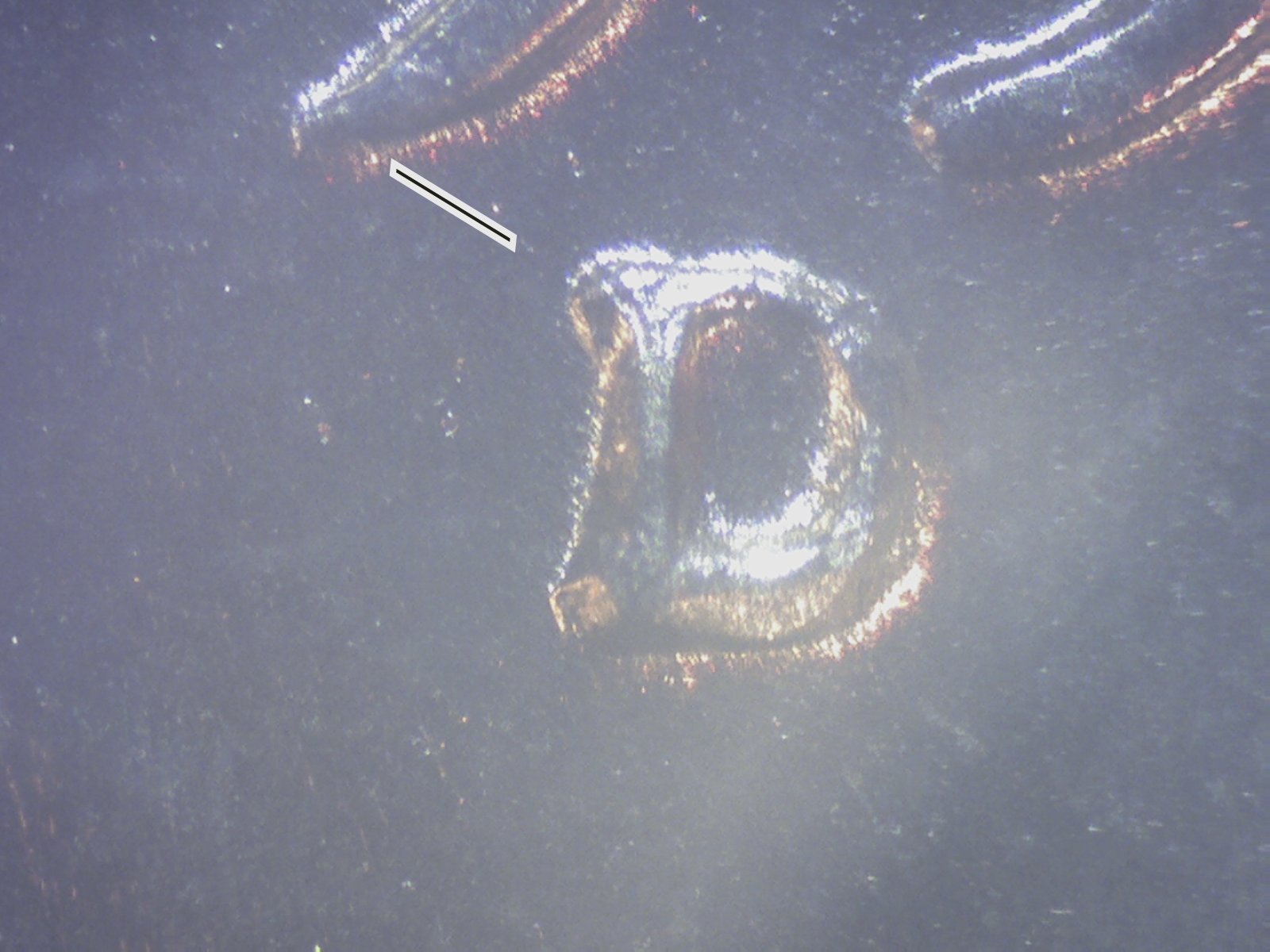1953-D  LINCOLN WHEAT CENT RPM D OVER D & MISPLACED MINTMARK ??? GEM BU  NN2