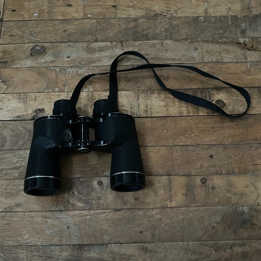 Vintage Leupold Binoculars Porro-l.F.  10x40 Wide Angle Field 6.6 Gold Rings