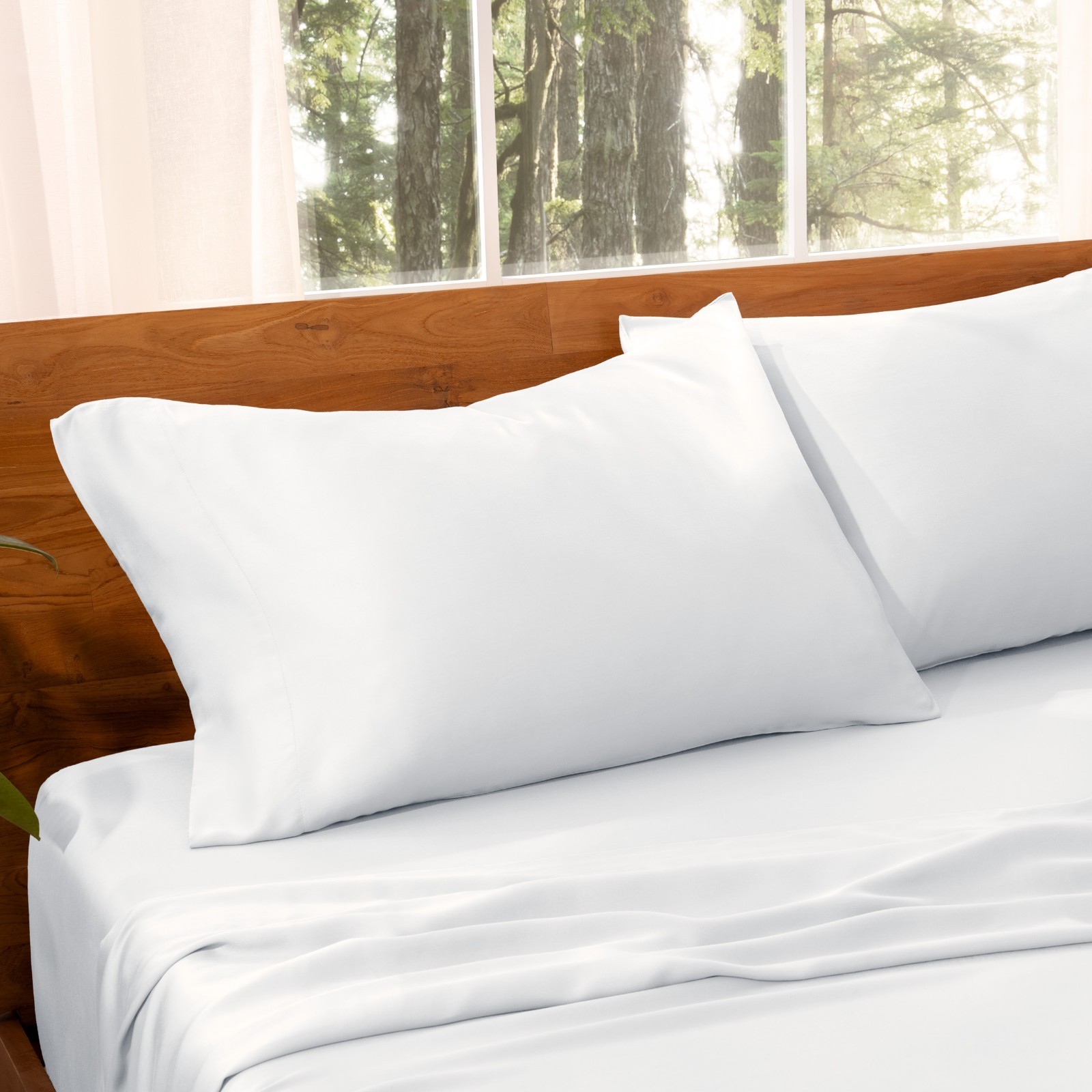 TENCEL™ Lyocell Pillowcase Set by Bare Home