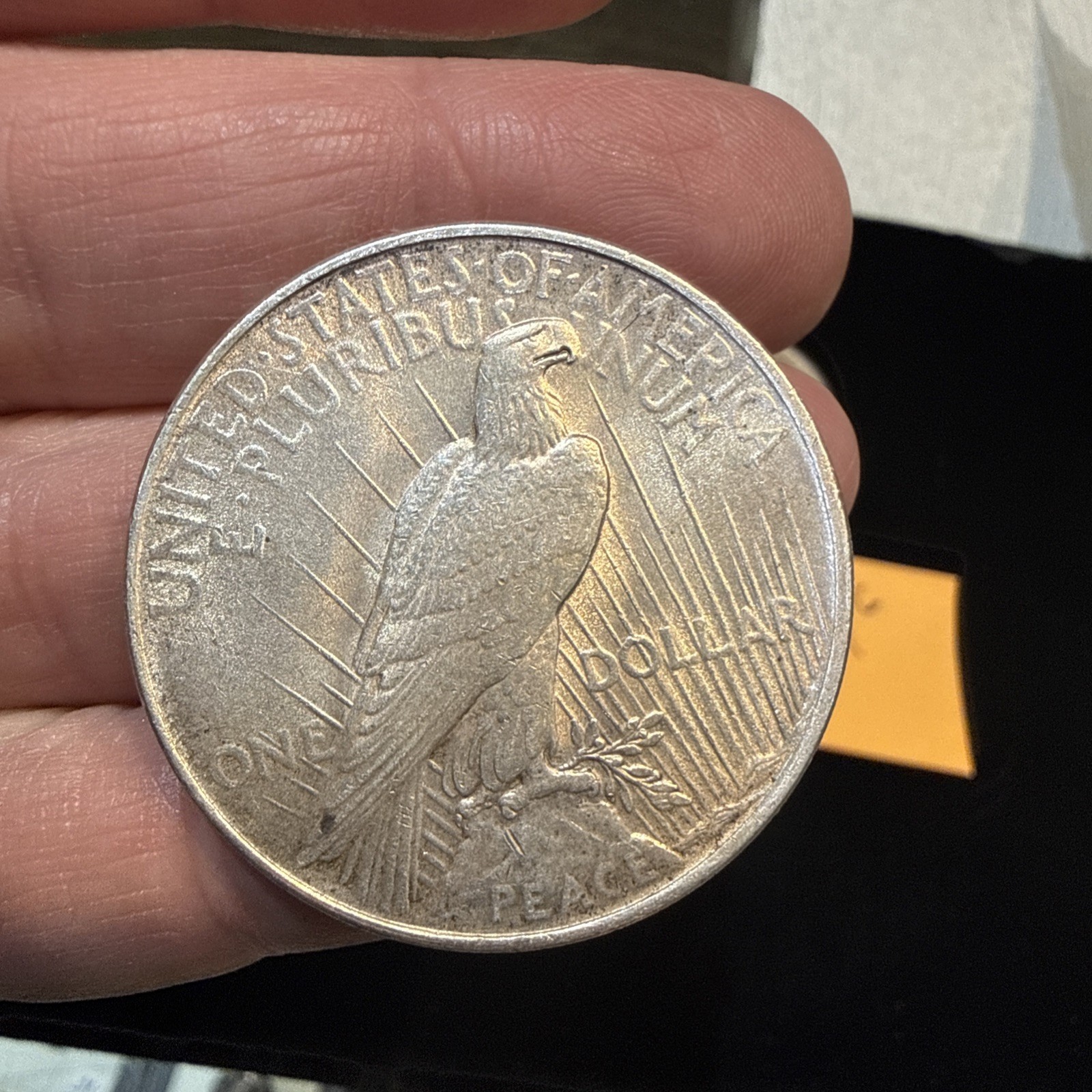Lot Of 5 Peace Dollars