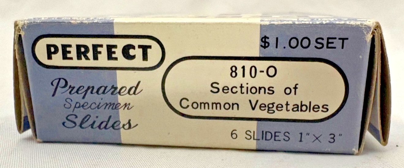 Vintage - PERFECT - Prepared Specimen Slides - Microscope - Sections Vegetables