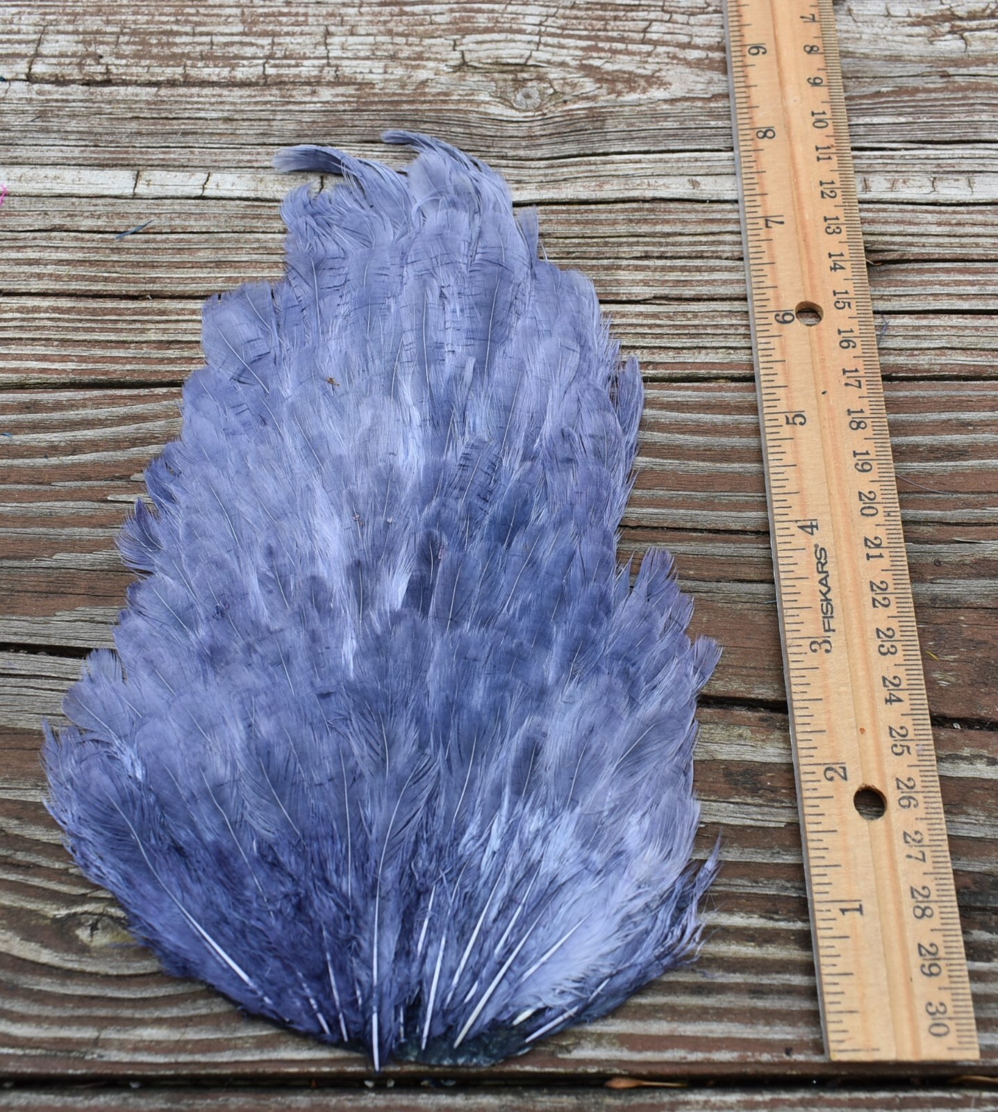 Lot 267,  Dyed Dark Gray Grey India Hen Back Saddle Feathers for Fly Tying