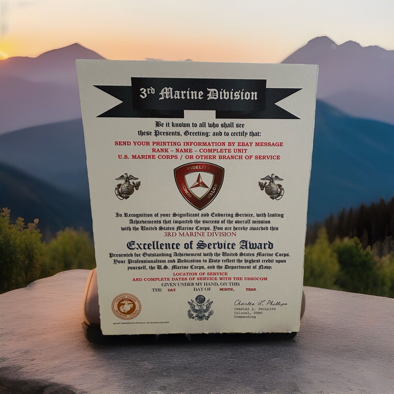 U.S. MARINE CORPS / 3RD MARINE DIVISION - EXCELLENCE OF SERVICE AWARD