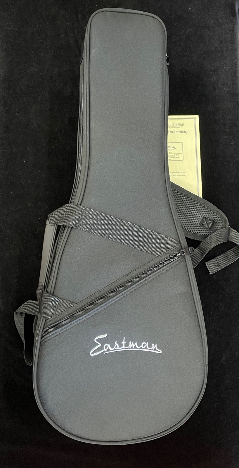 Eastman MD315 F-Style Mandolin