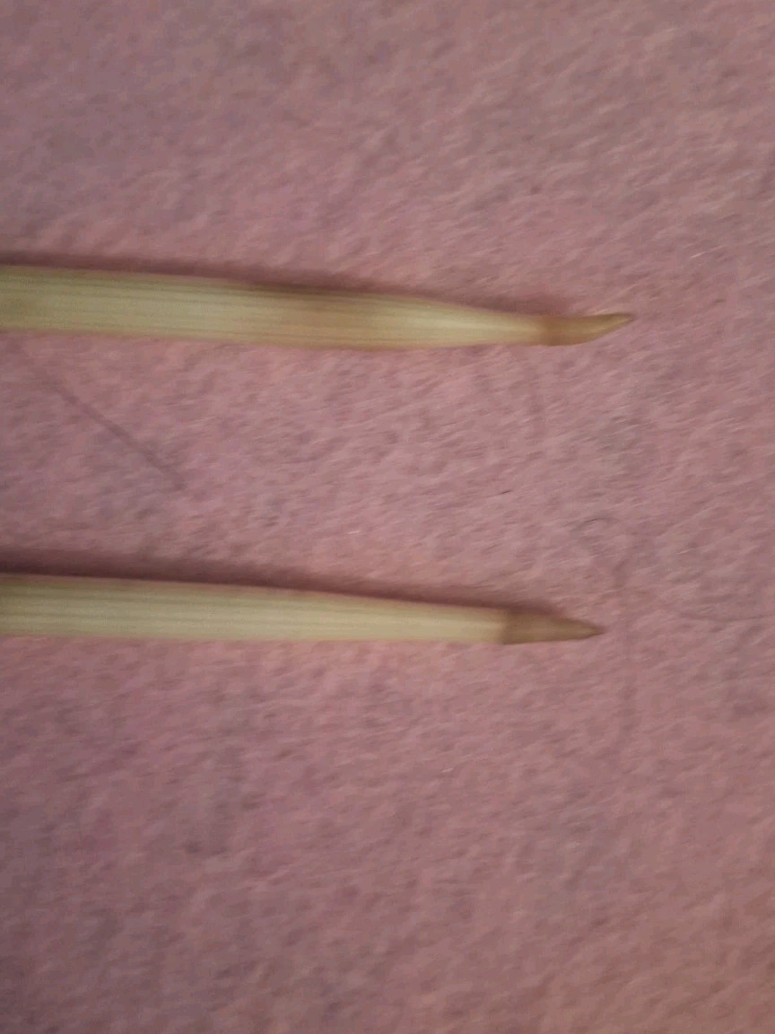 TWO HANDCRAFTED PORCUPINE QUILL FLOATS