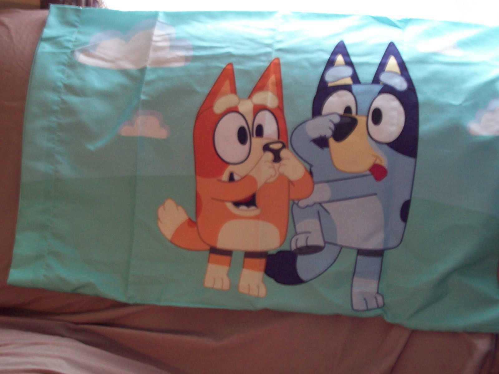 BLuey & Bingo Toddler Pillowcase Standard Reversable 20 X 30