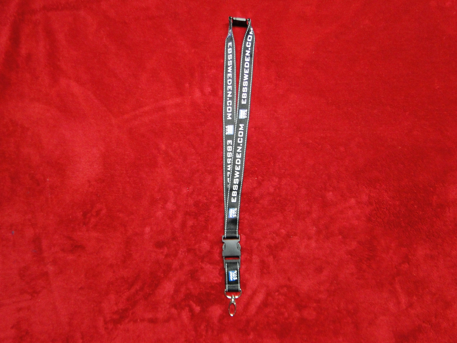 EBS Sweden Amplifiers Lanyard