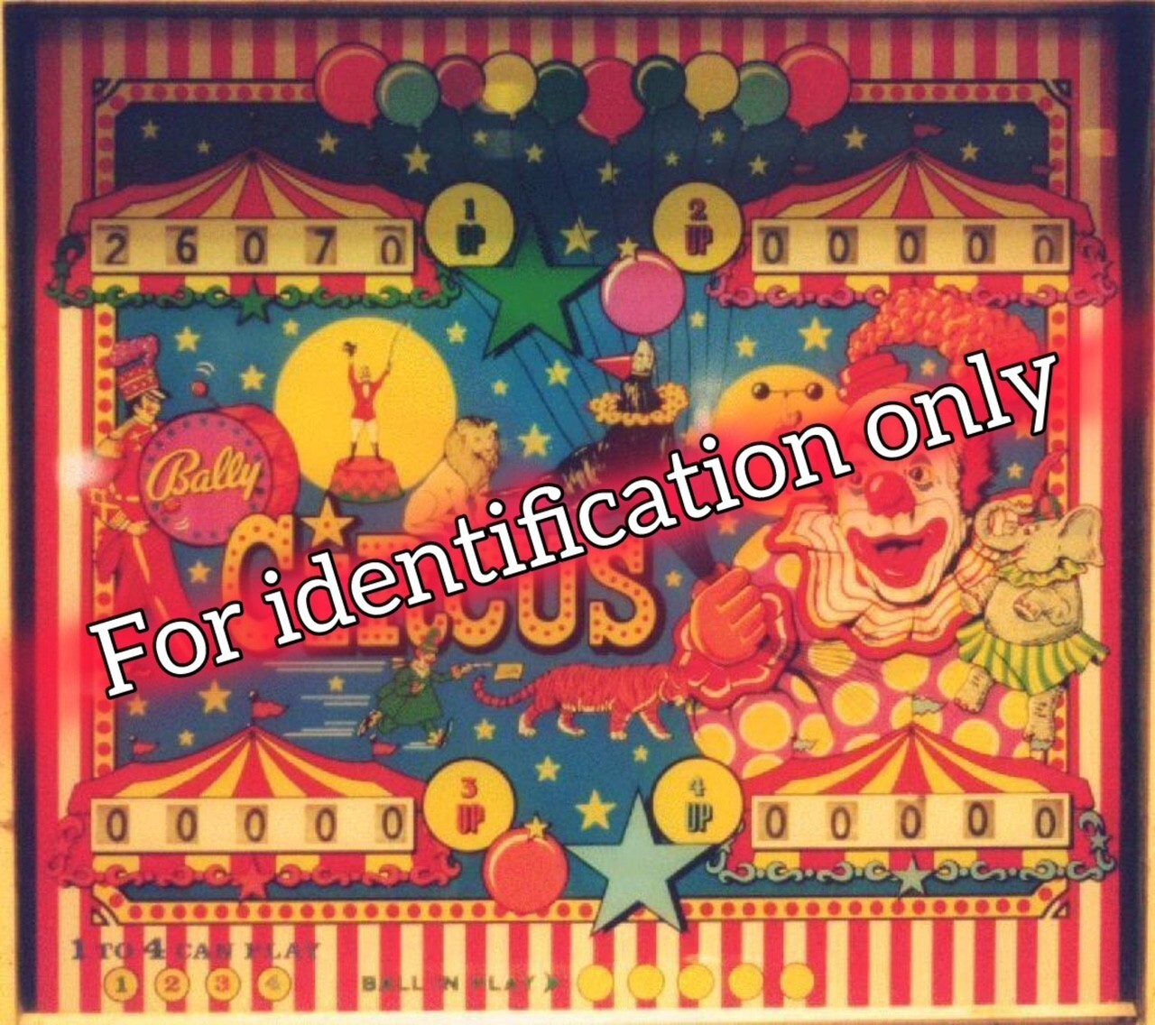 1973 Bally Circus Pinball Machine Rubber Ring Kit