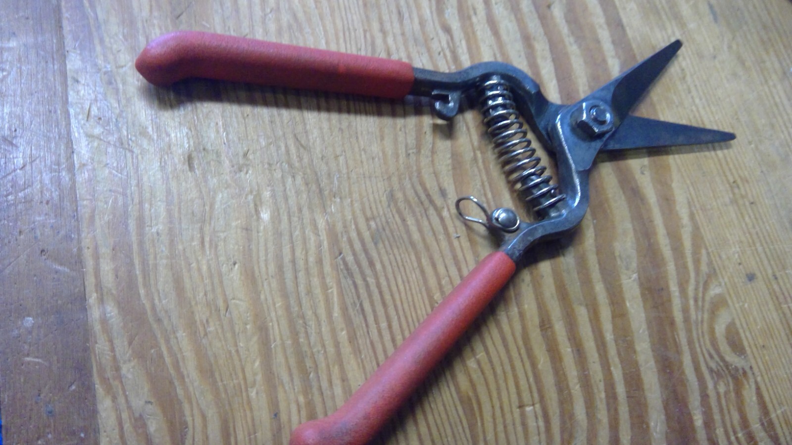 7 1/2" Needle Nose Fruit Pruners Cutters FREE SHIP
