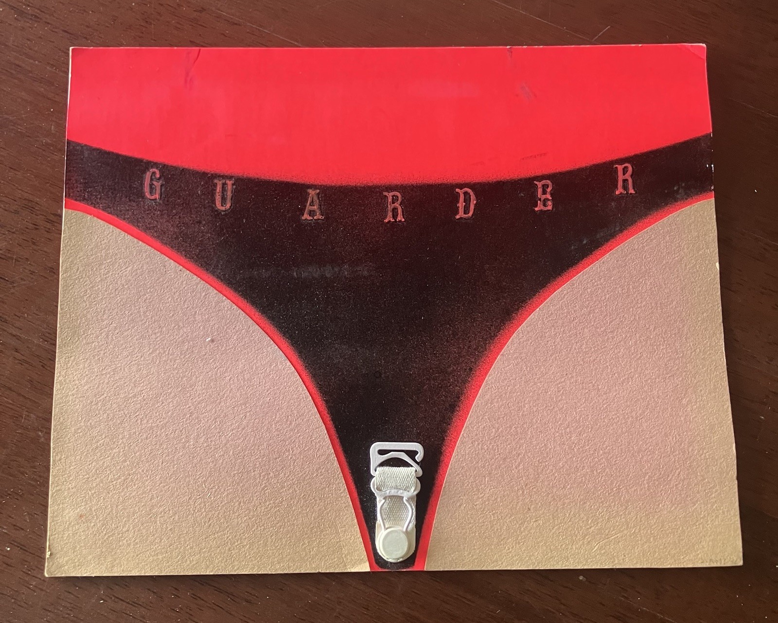 GUARDER Garter Belt Artwork Shelia Hicks 1970s College Painting 8X10" punk sexy
