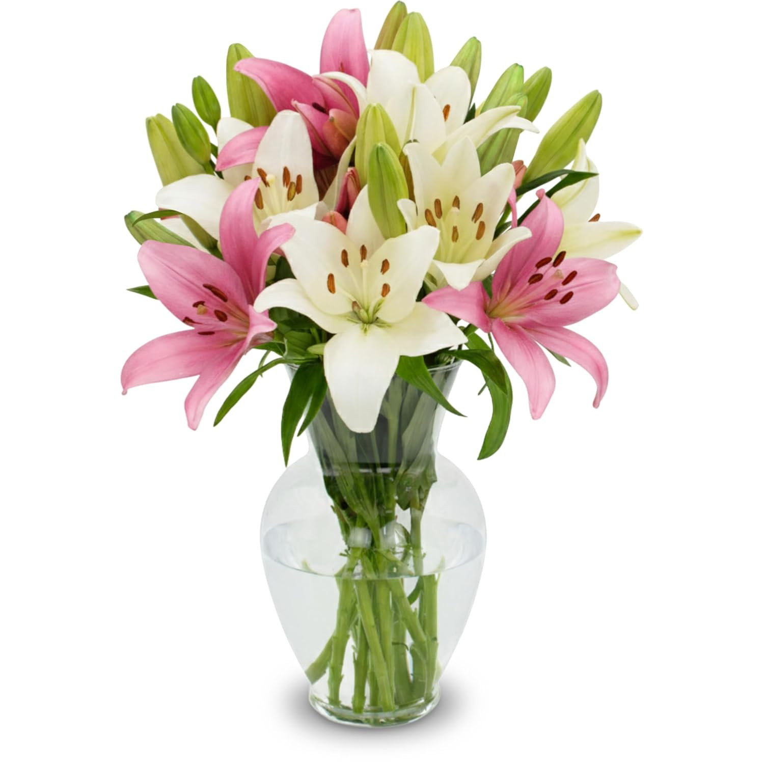 10 Stem Pink & White Lily Bouquet (Vase Not Included) - Hand-Tied in the USA - F