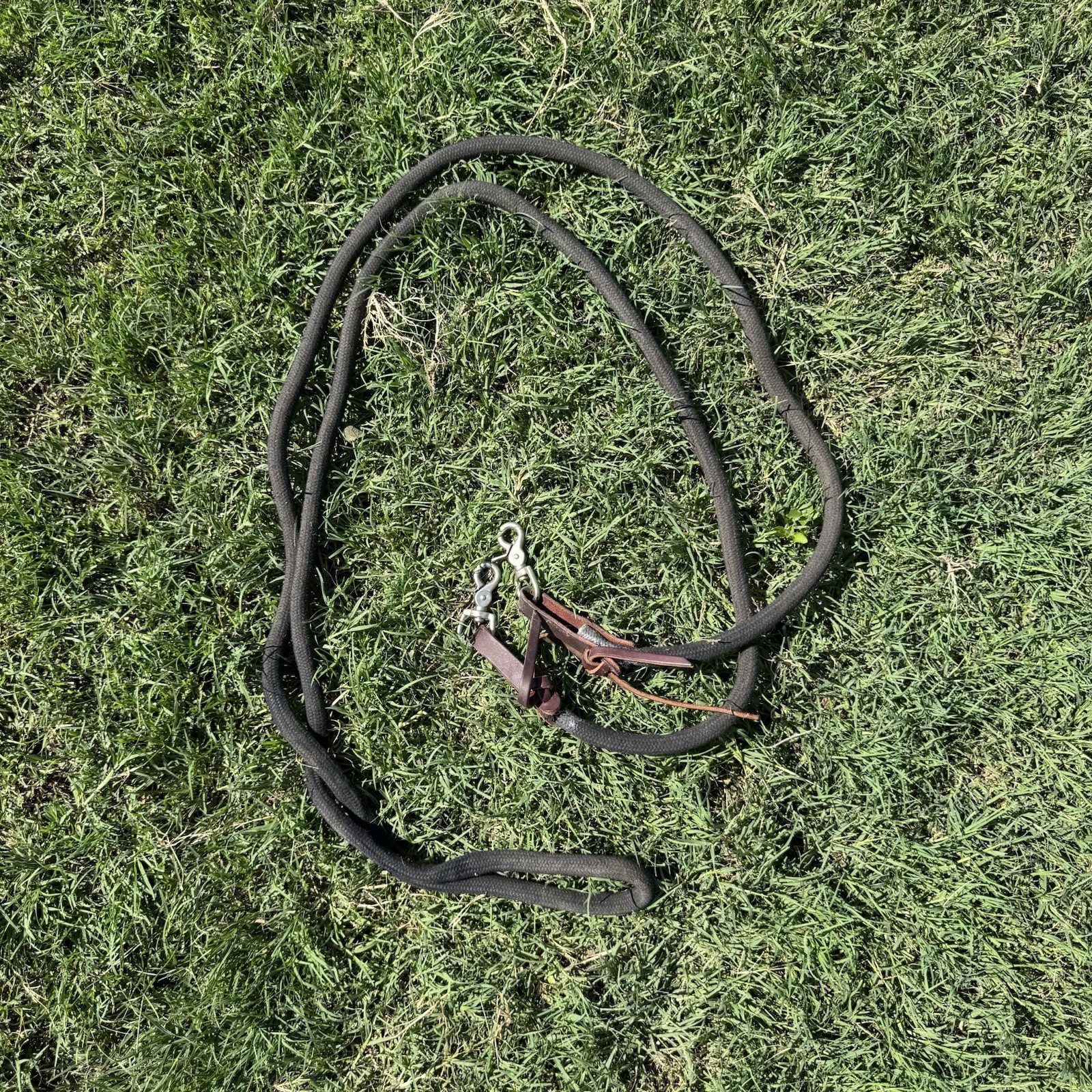 Weaver Equine EcoLuxe Leather Round Trail & Training Reins, Black 10 feet