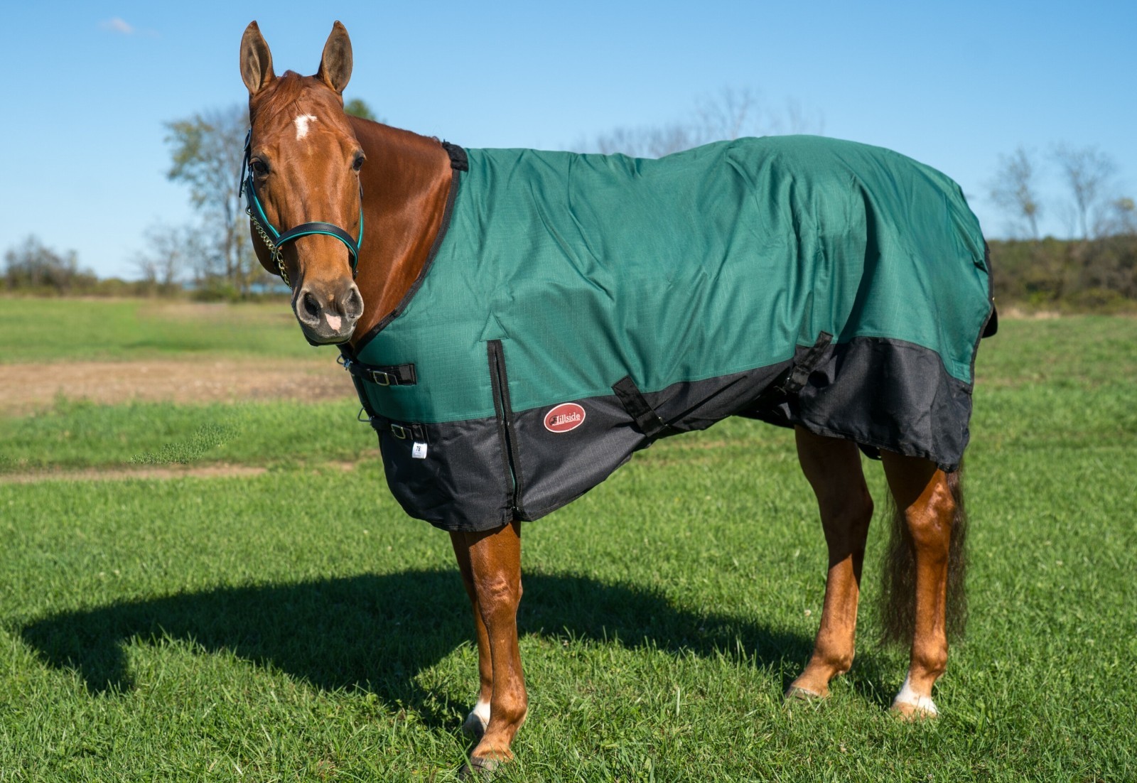 Deluxe 1200D Turnout Blanket Waterproof Horse Blanket 300gm Winter Horse Blanket