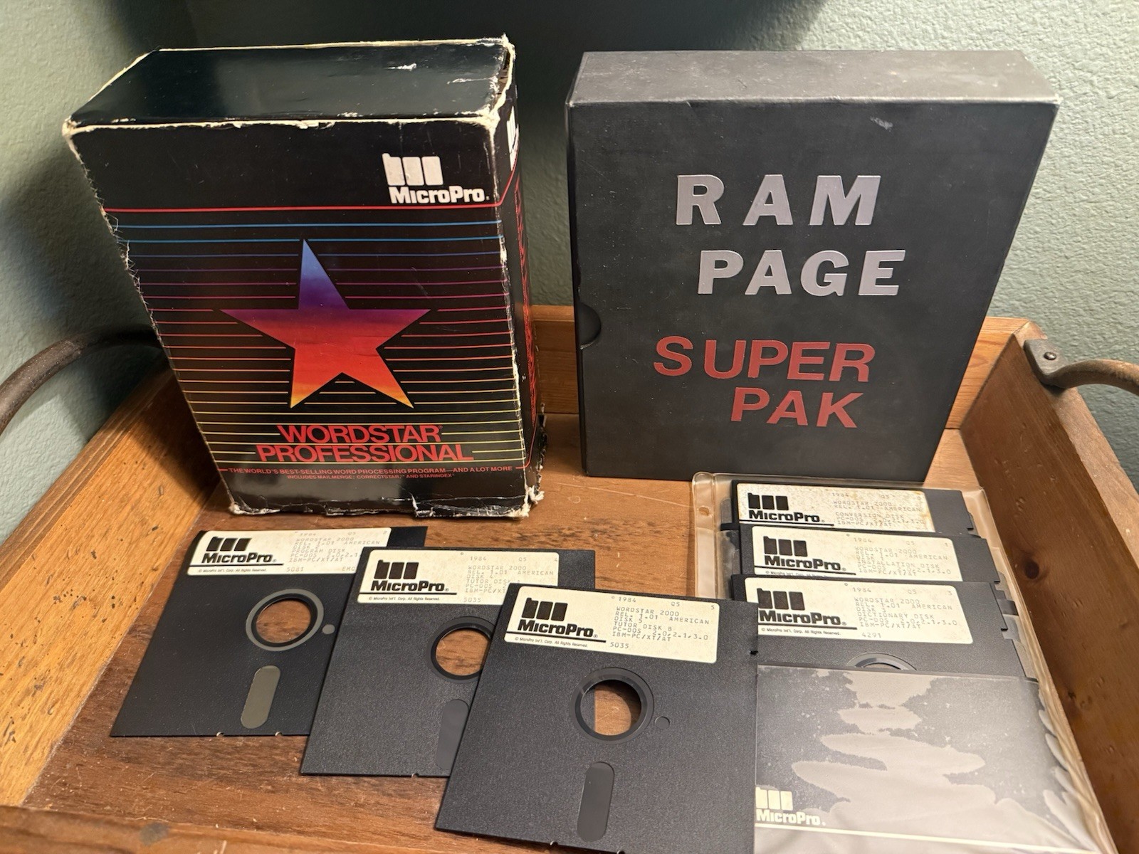 Vintage IBM PC Software Lot WordStar RAMPage DESQview AST Research 5.25 Disk