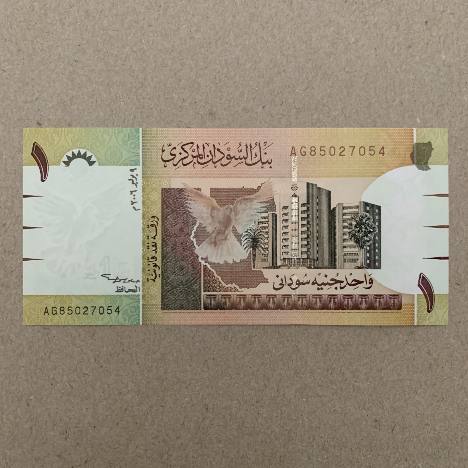Doves are Flying Sudan 20 Pounds Banknote 2006 Sudanese Currency Dove Money Bird