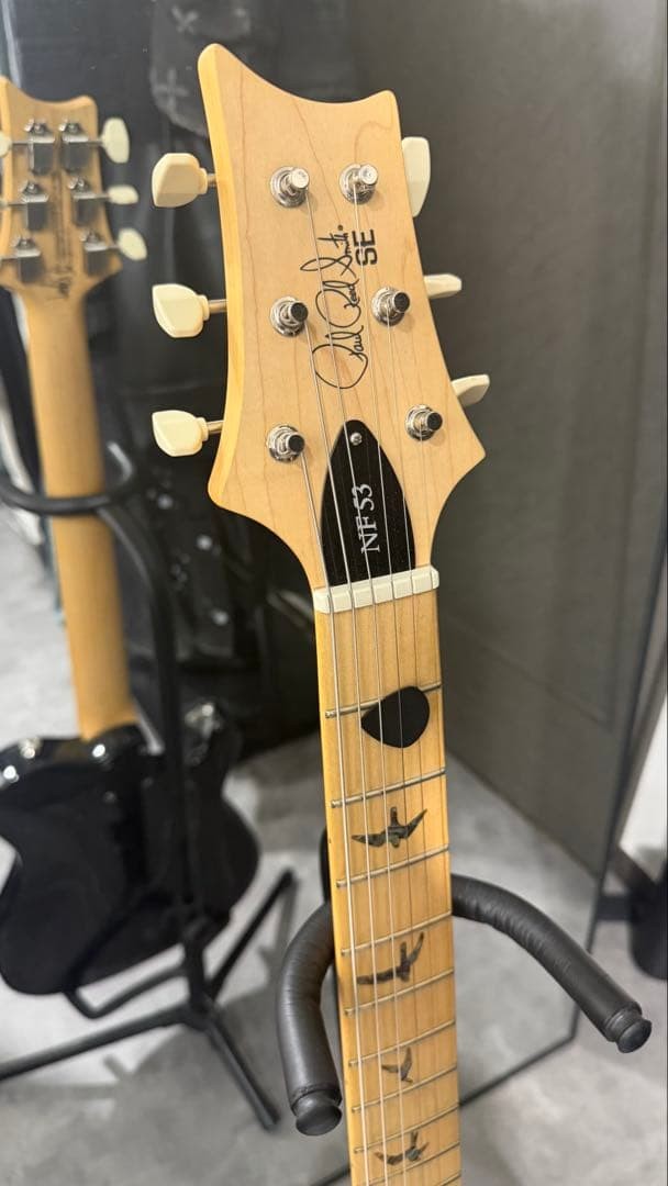 Paul Reed Smith - Prs Se Nf 53