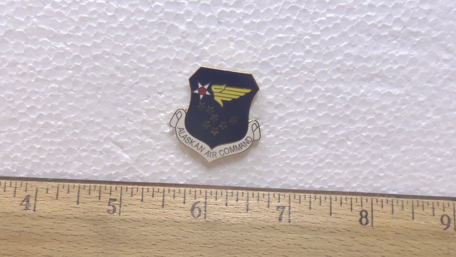 US Air Force - Alaskan Air Command Pin