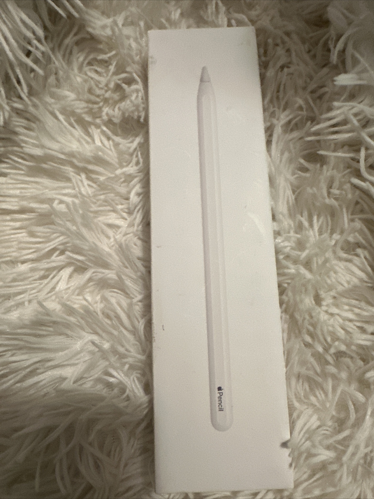 Apple Pencil (2nd Gen)