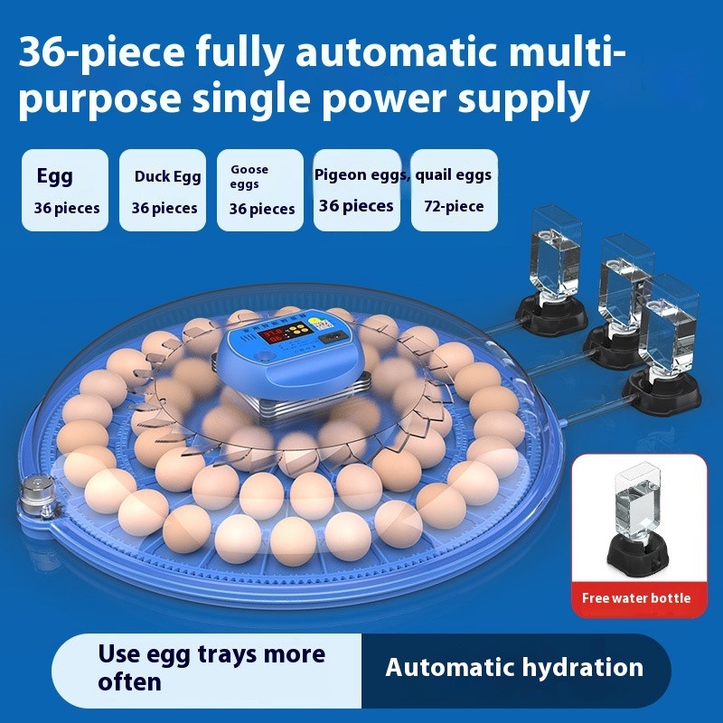 Small Home Mini Incubator Intelligent Fully Automatic Bird Egg Incubator Box