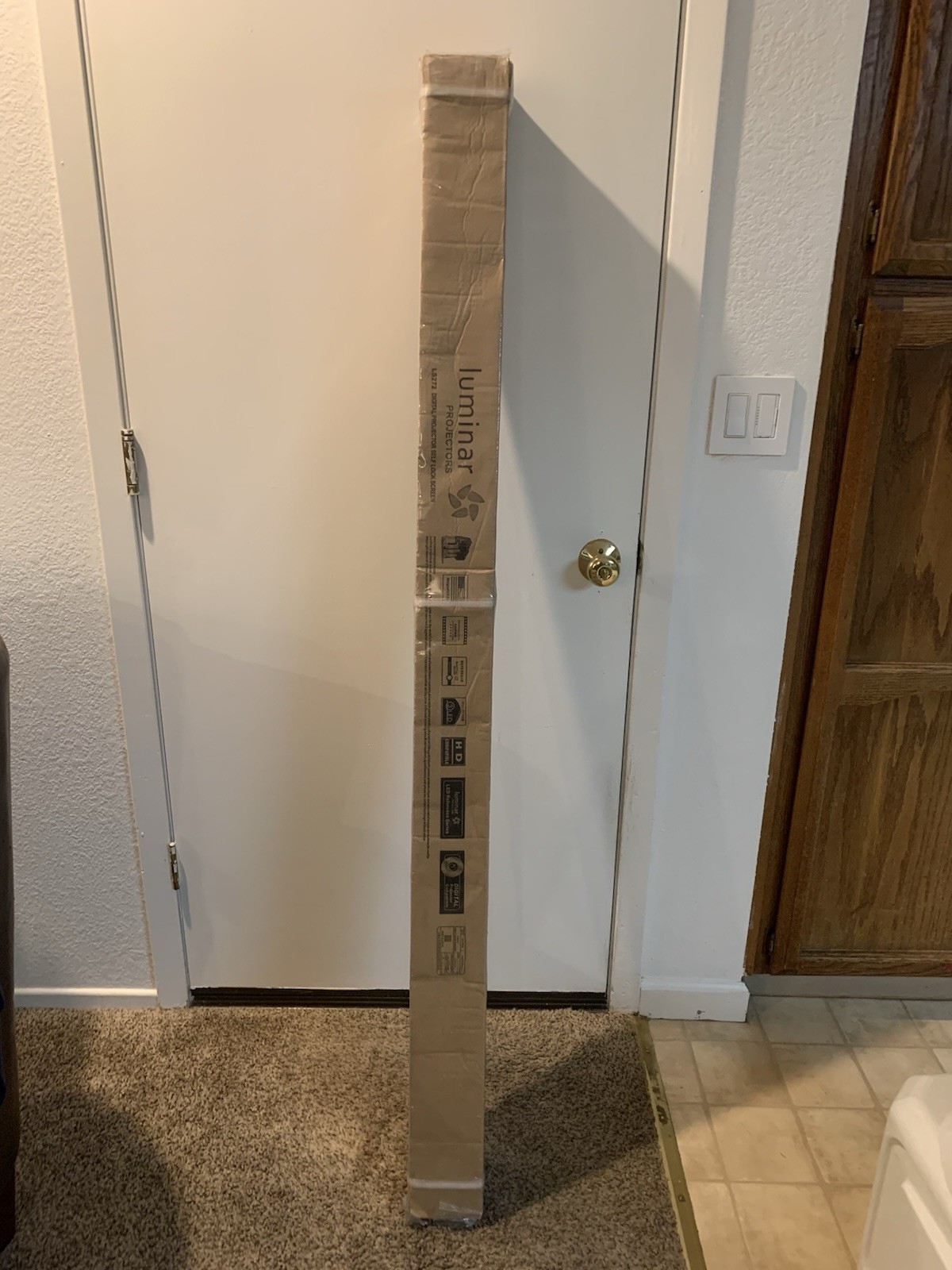 Luminar LS272 Digital Projector Self Lock Screen