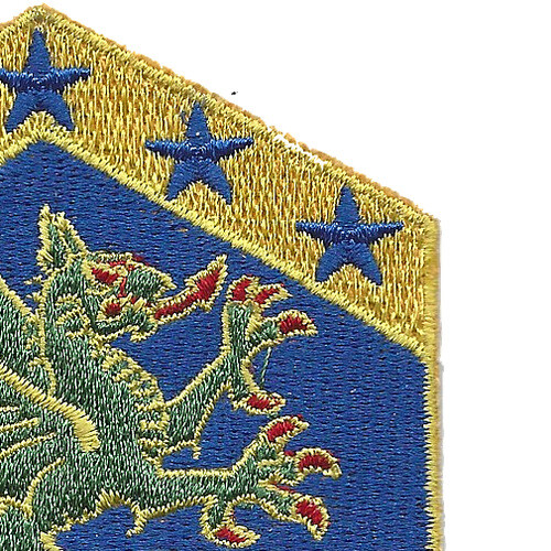 110th Chemical Battalion Patch