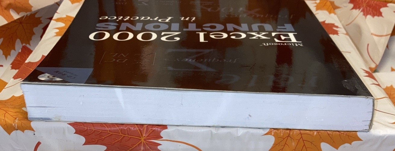 Microsoft Excel 2000 Functions In Practice With CD