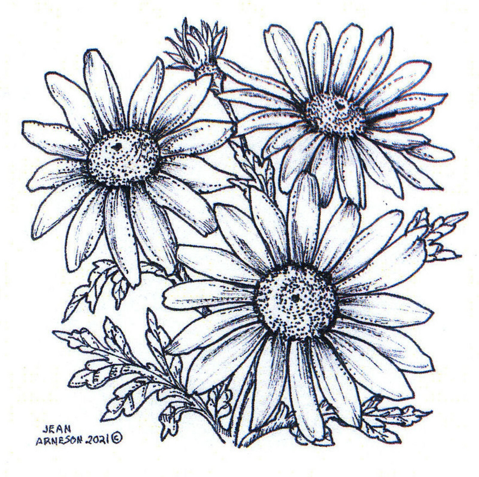 Shasta Daisies NORTHWOODS Wood Mounted Rubber Stamp NEW MM10894