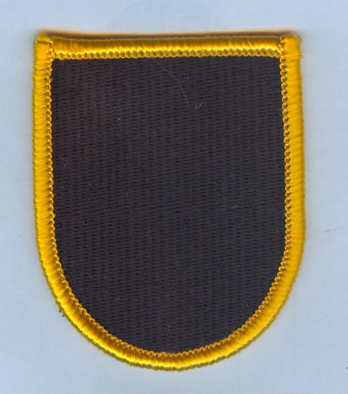 Army JROTC Flash - FAYETTE COUNTY HIGH SCHOOL (FAYETTEVILLE, GEORGIA)