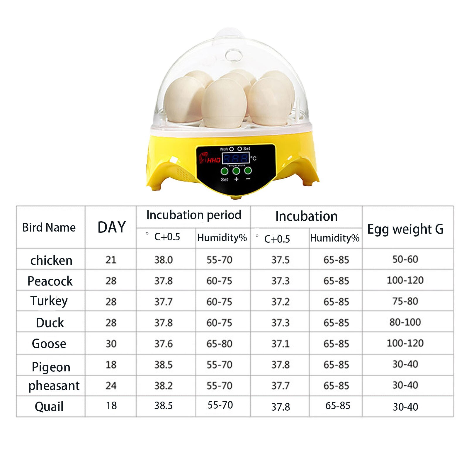 7 Egg Mini Incubator for Kids & Beginners 360° View Manual Temperature Control