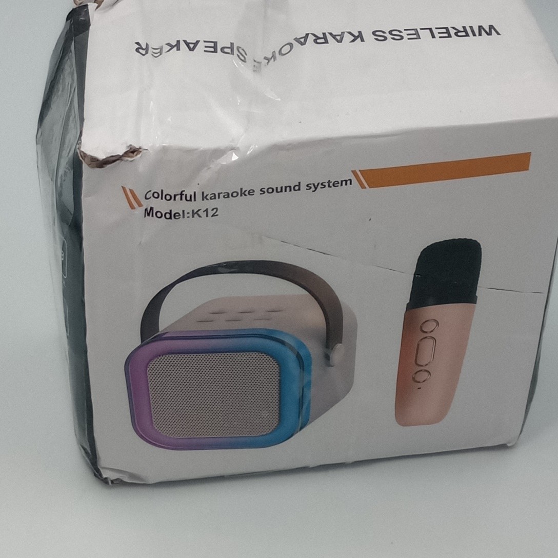 Mini Karaoke Machine Portable Bluetooth Speaker with 2 Wireless Microphones READ