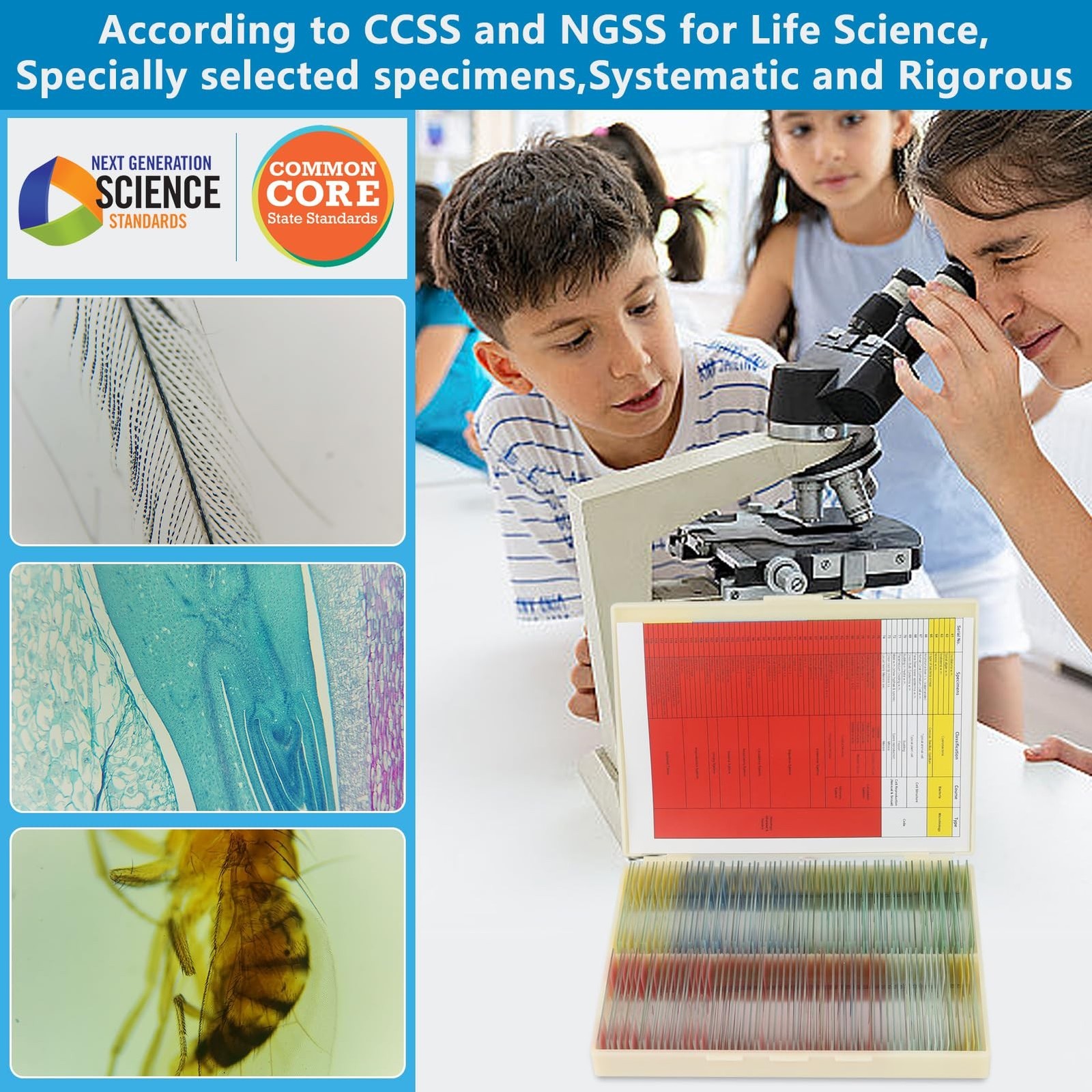 120 Microscope Slides with Specimens Set, Lab-Grade Prepared Microscope Slide...
