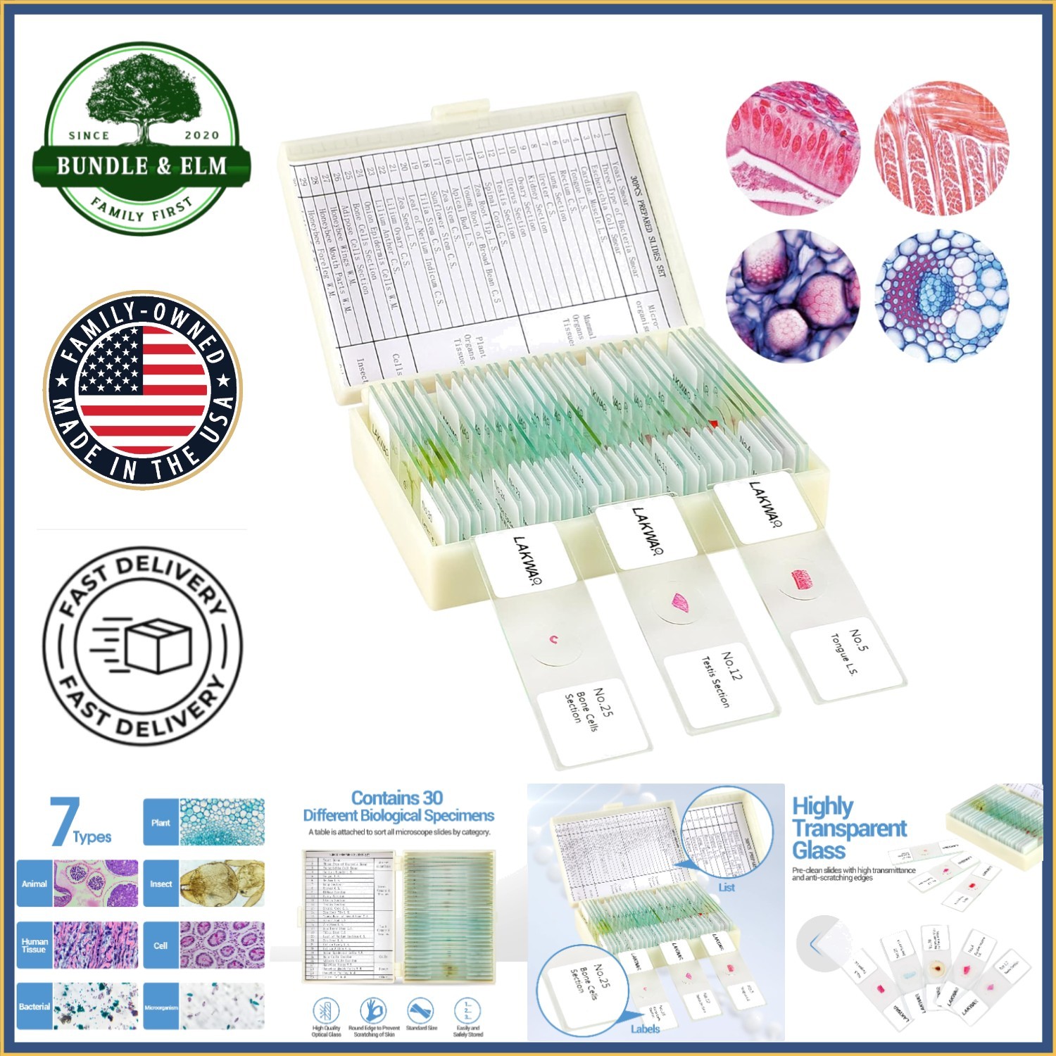Educational Microscope Slides Kit with 30 Prepared Specimens for Beginners