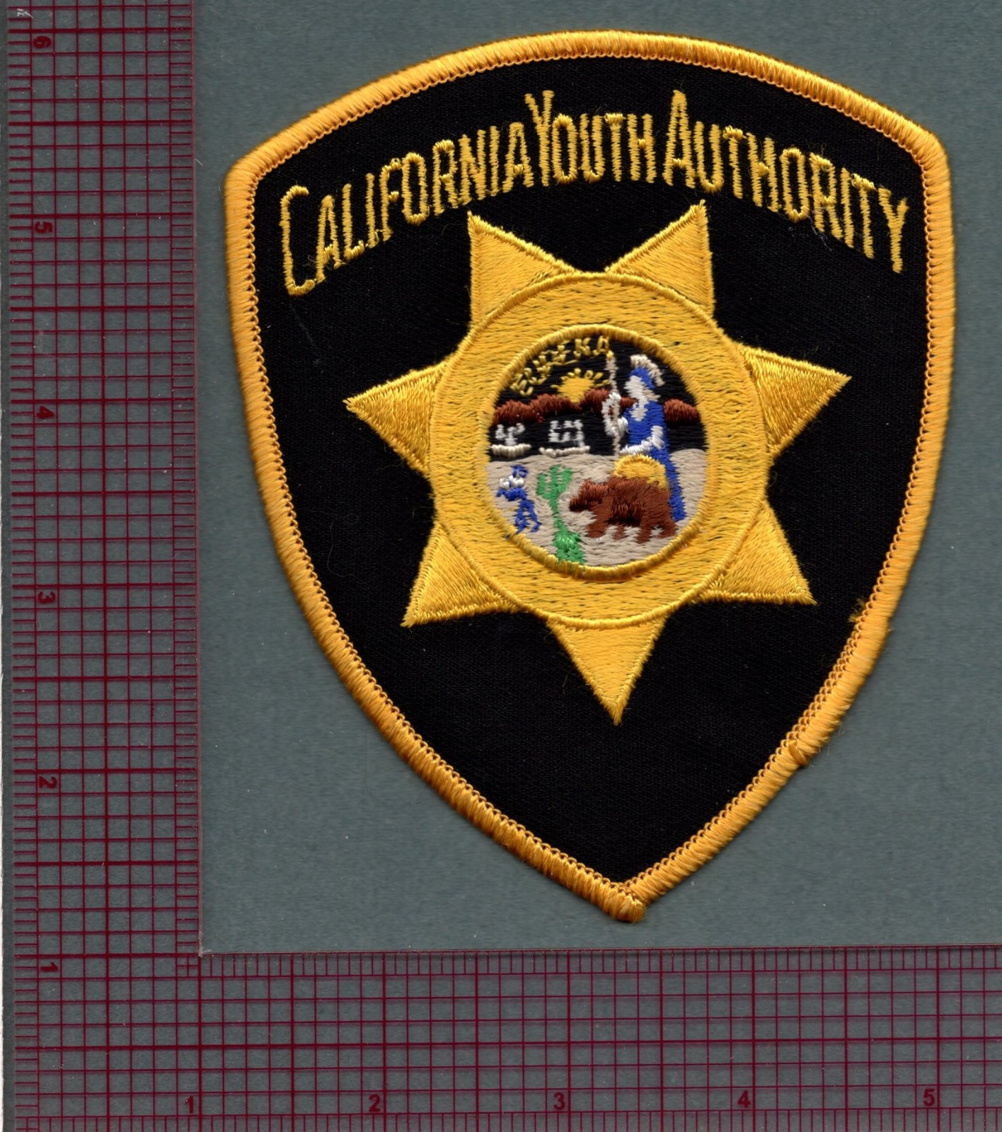 California Youth Authority Police Patch