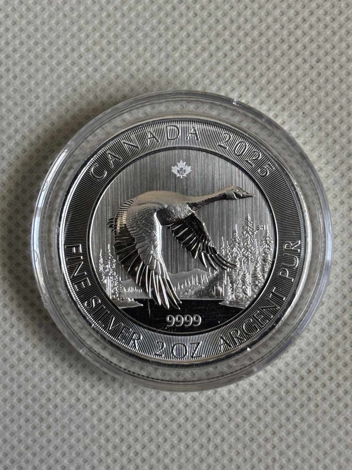 2025 Canada 2oz $10 Canadian Goose Silver Bullion Coin