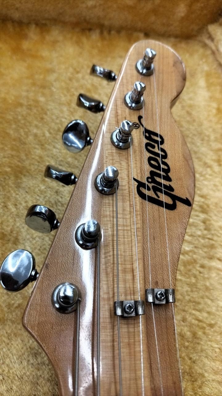 GRECO Electric Guitar TELECASTER TYPE Used