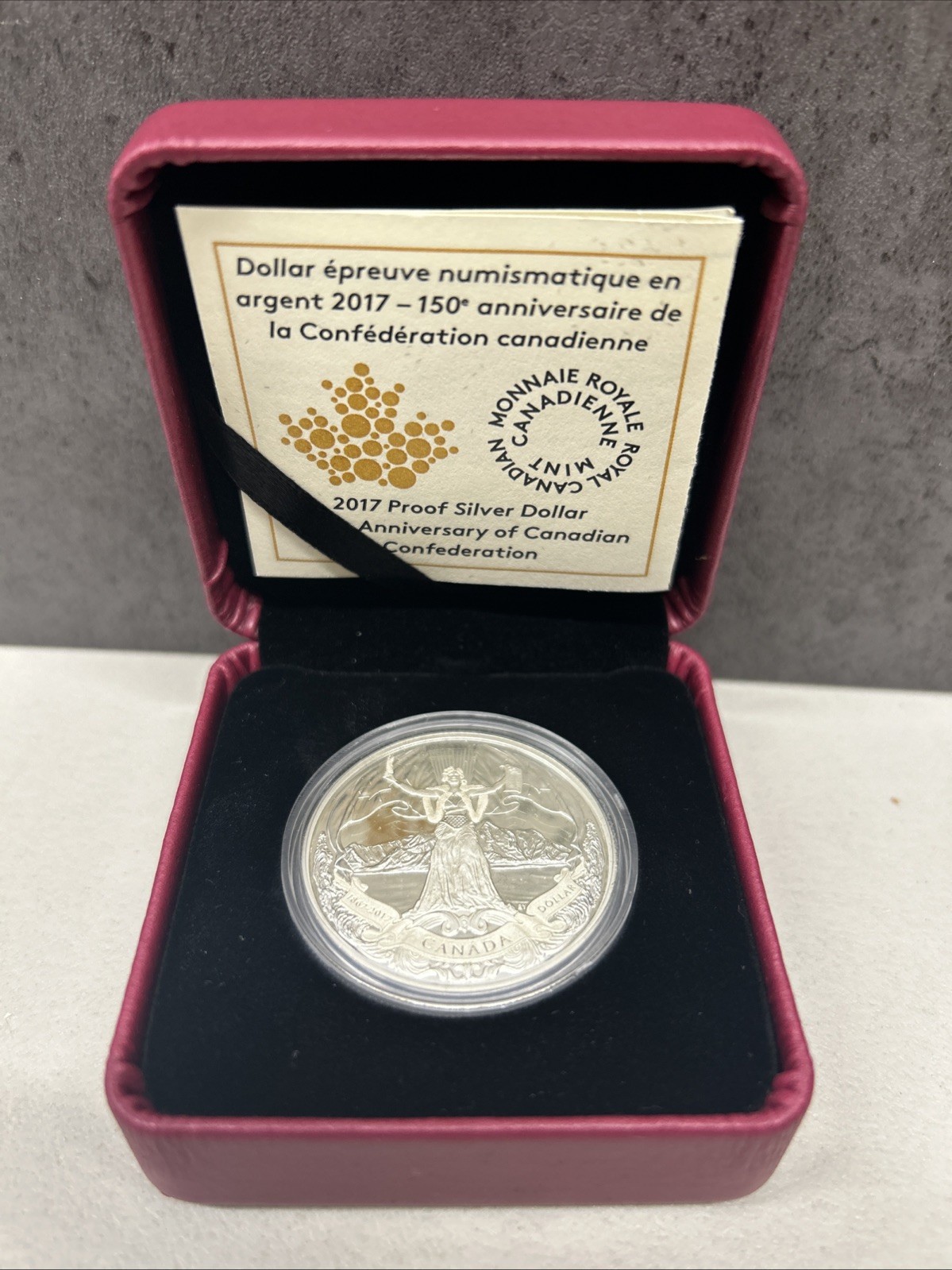 2017 Canadian Special Edition Proof Silver Dollar w COA