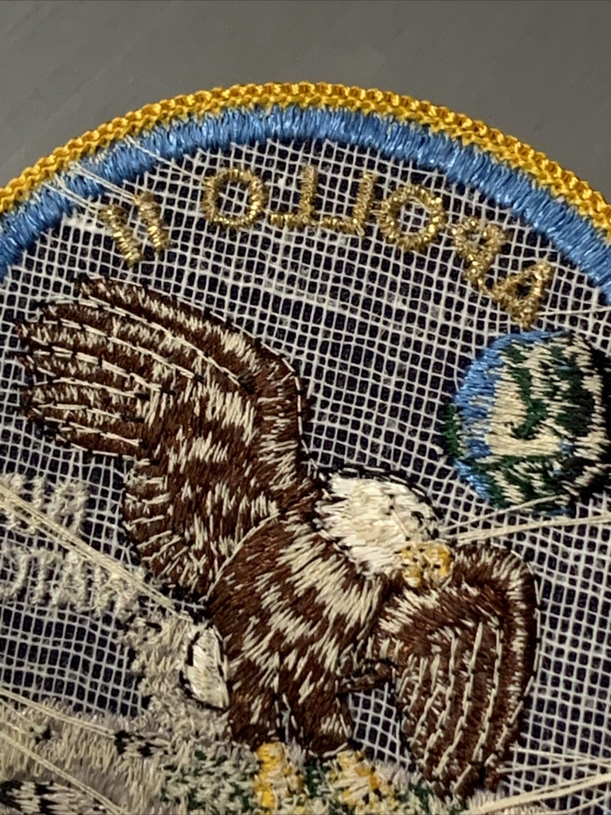 Apollo 11 Bird Watcher Patch Lion Brothers-Original Lion Brothers Patch