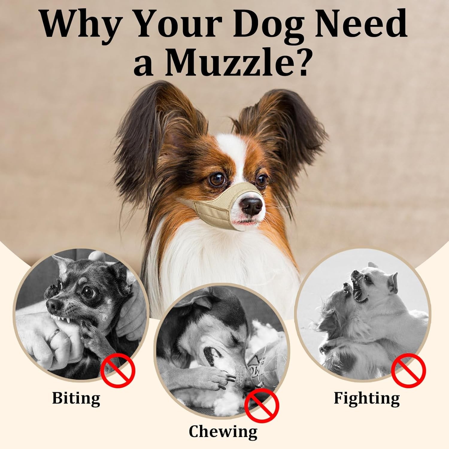 Short Snout Dog Muzzle Small Muzzle Chihuahua Shih Tzu American Bully Boxer