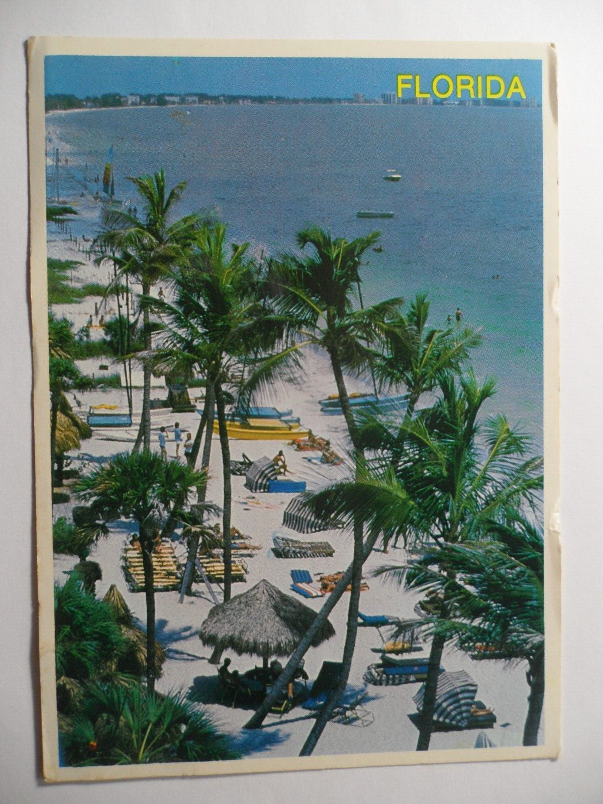 STAMPMART : USA SANDY BEACH & PALM TREES FLORIDA USED POSTCARD