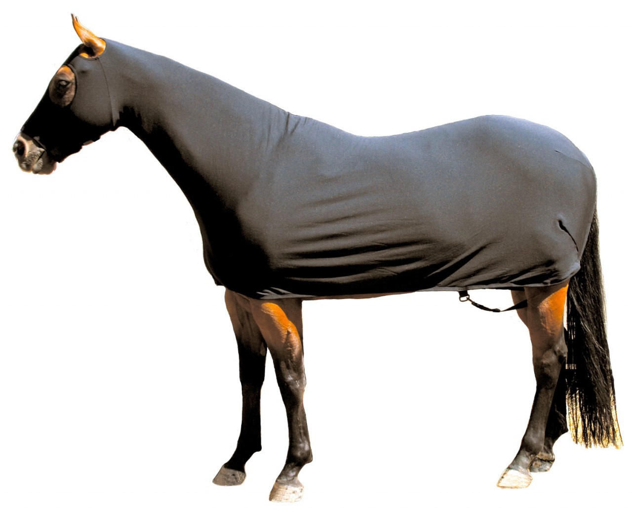 Fleece Full Body Sleazy Sleepwear for Horses