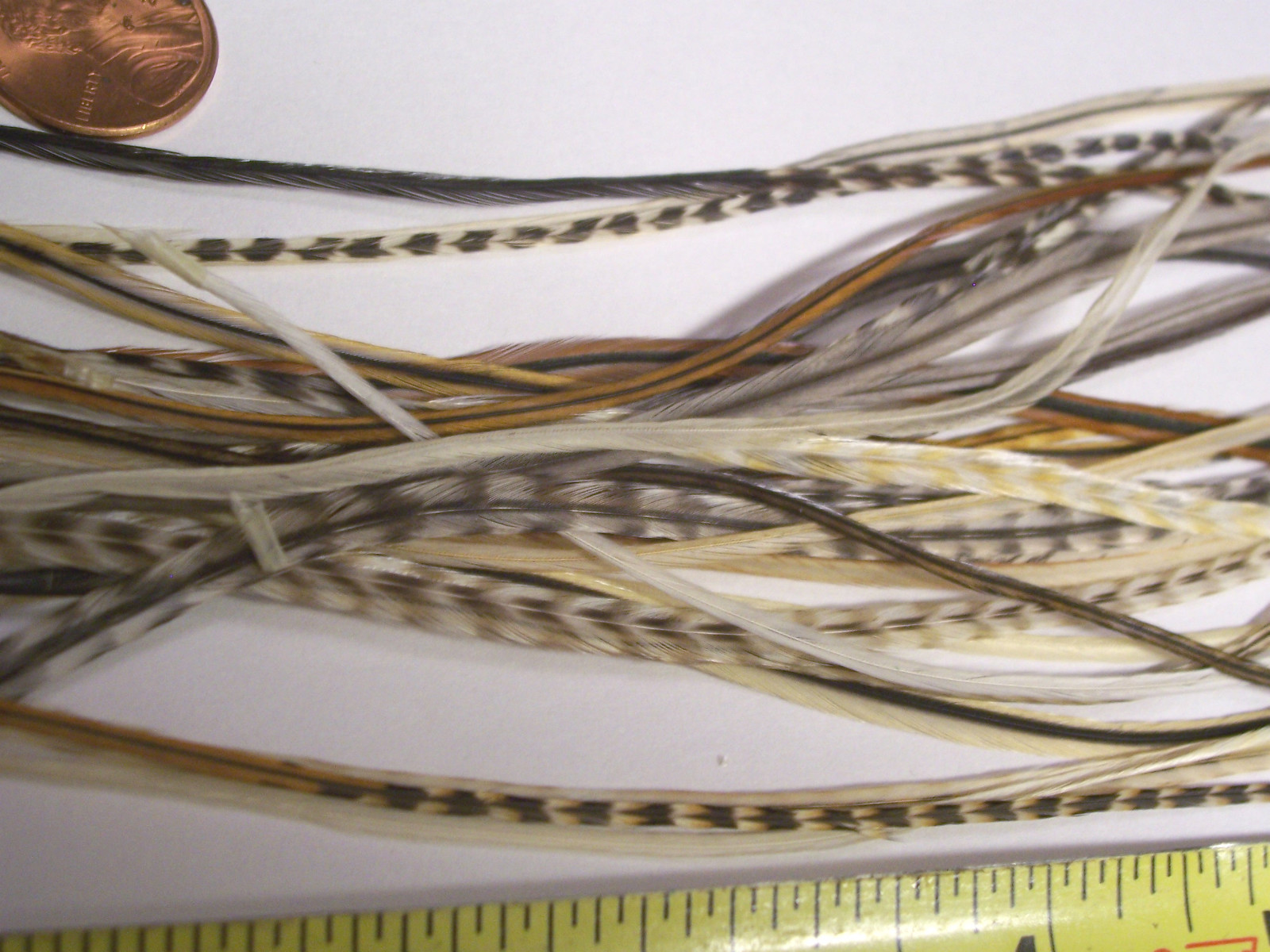 25 Natural 7 - 10+" WHITING GRIZZLY LONG MIX SADDLE HACKLE FLY TYING FEATHERS