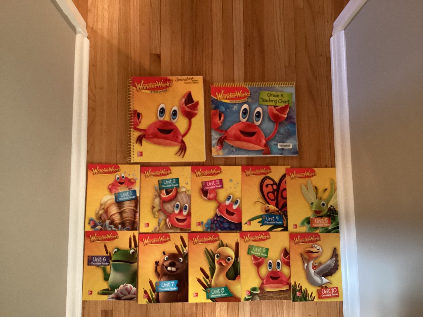 Reading WonderWorks Intervention Grade K  Teacher’s Material & Decodable Readers