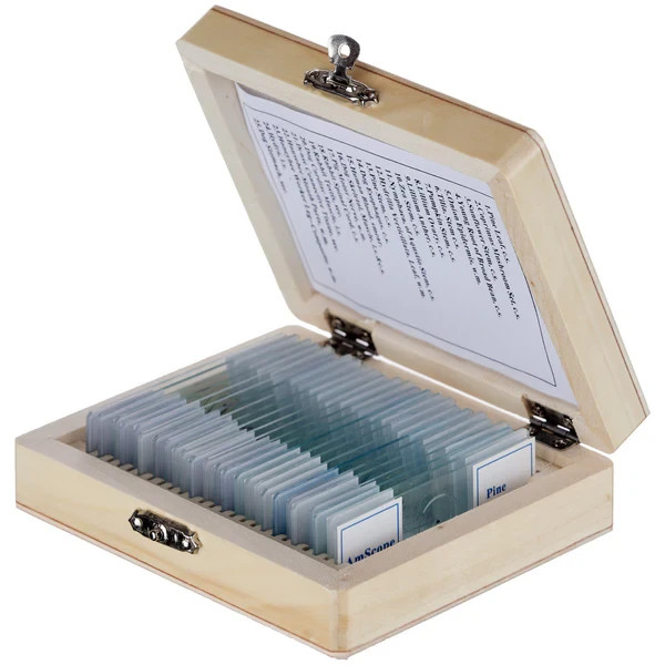 AmScope PS25W Prepared Slides