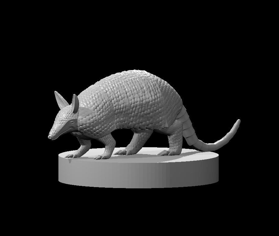 Armadillo Familiar Creature Monster Manual 28mm Scale DND D&D Tabletop Mini