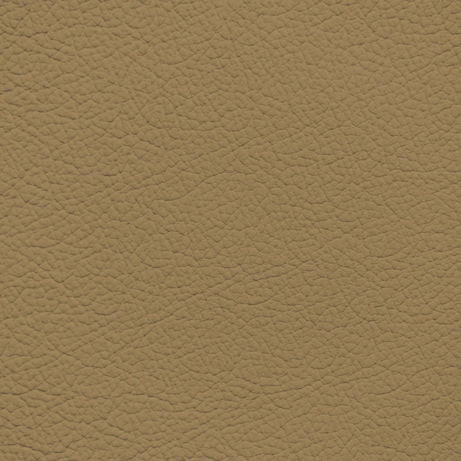 Acura/Honda Ivory Leather Dye