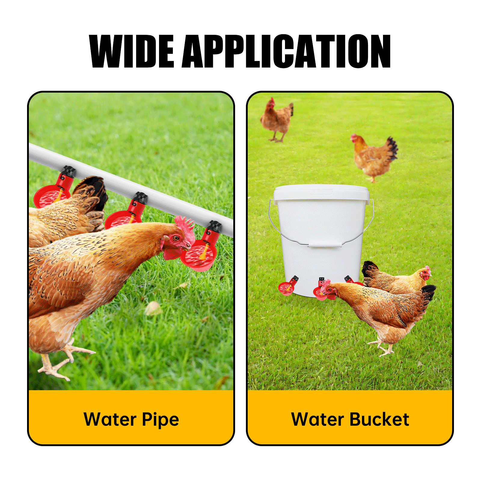 20Pcs Poultry Water Drinking Cups Chicken Hen Plastic Automatic Drinker Feeder