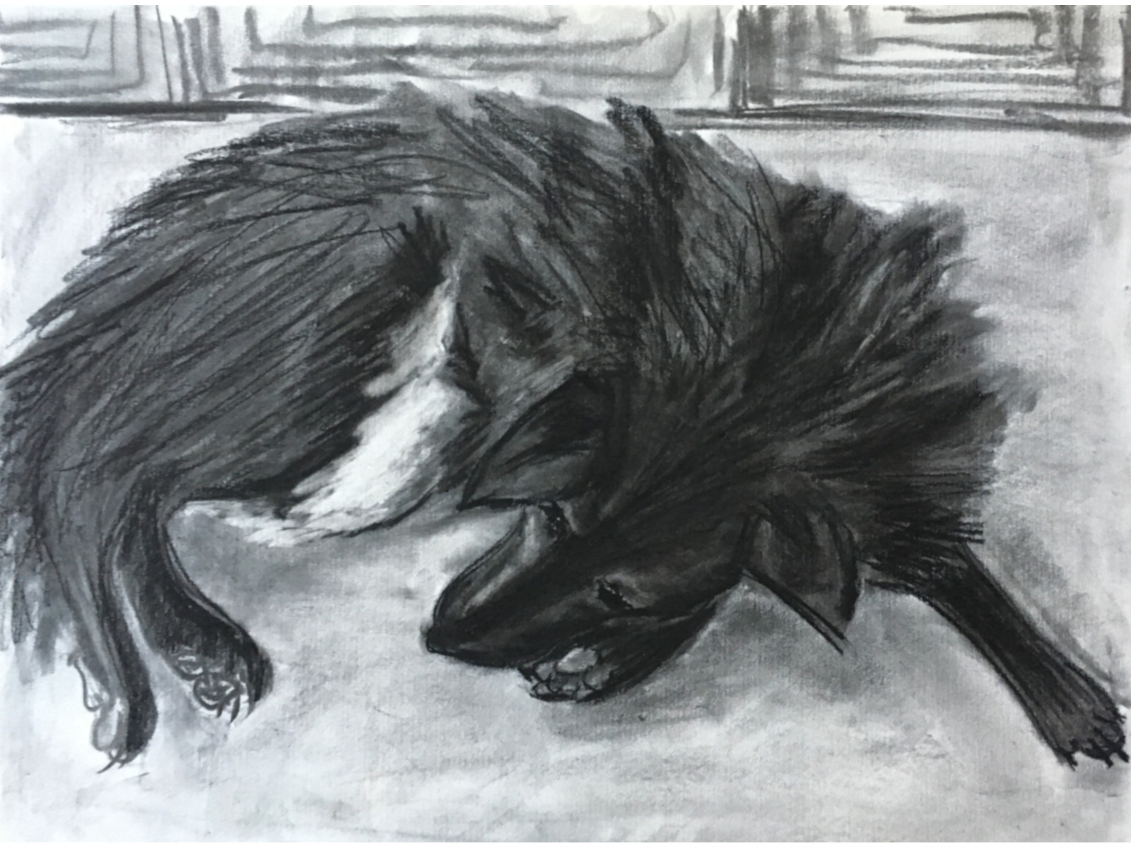 Black Retriever Dog - original charcoal drawing by Marissa Kowalczuk