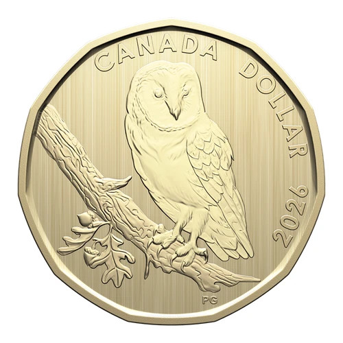 🇨🇦 2026 Barn Owl Specimen $1 Loonie Coin Canada